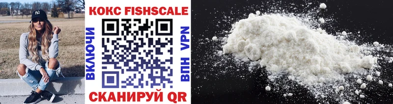 Купить закладки  Чёрмоз  Cocaine Fish Scale 