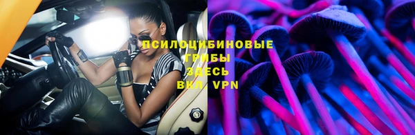 бошки Кинешма