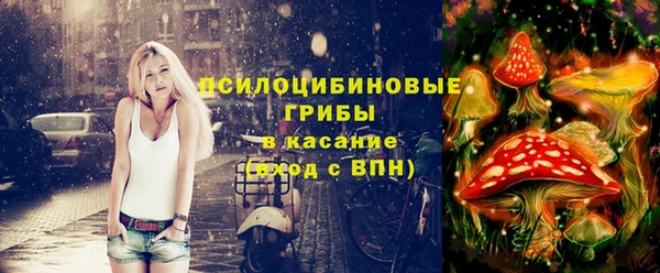 бошки Кинешма